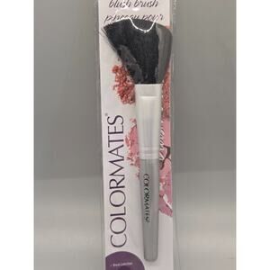Colormates Brand Make Up Blush Brush - SET OF 4